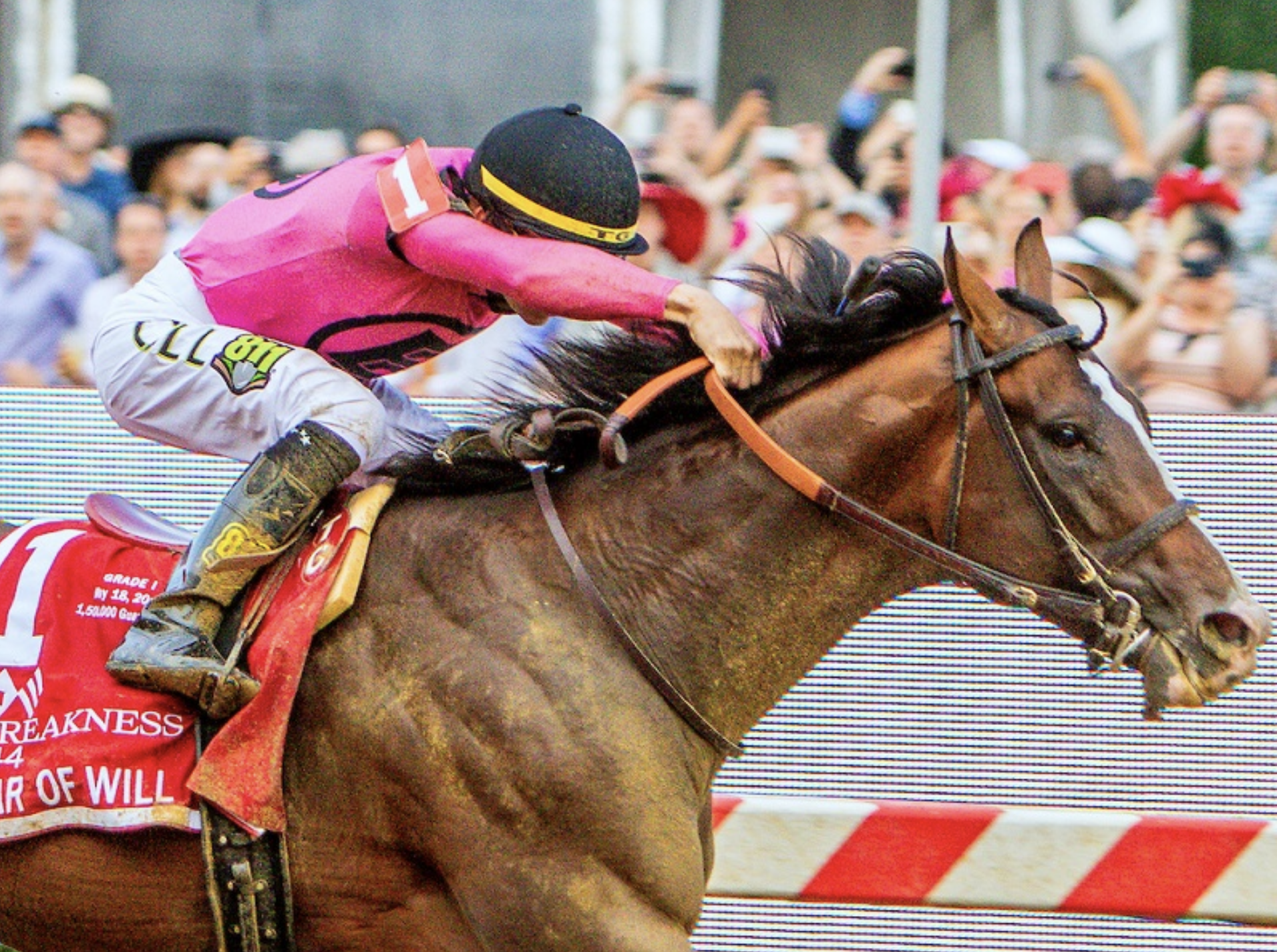 It’s Post Time by Jon White: War of Will Comes Through in the Preakness